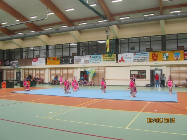 dnio 49
